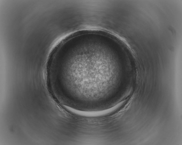 X0000112081319200908181233