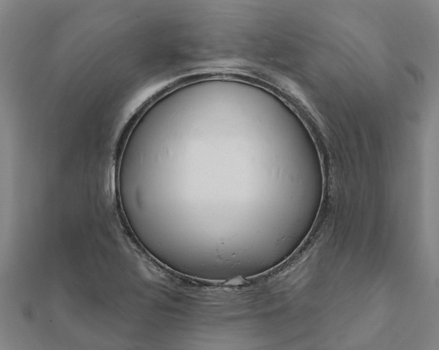X0000112081320200908181233