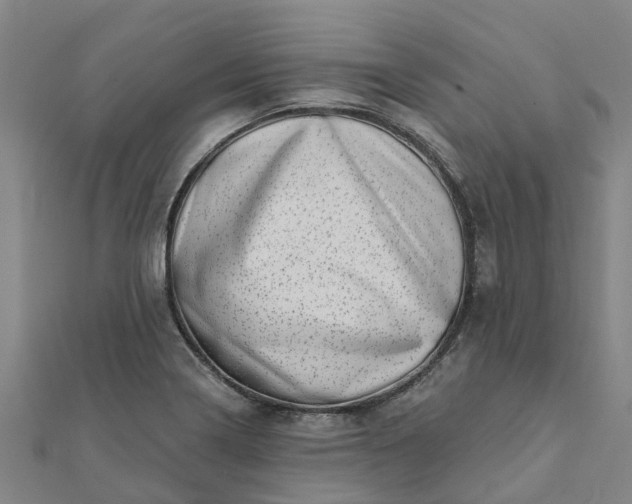 X0000112081322200908181233