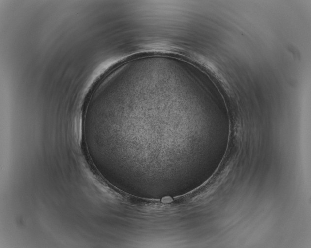 X0000112081323200908181233
