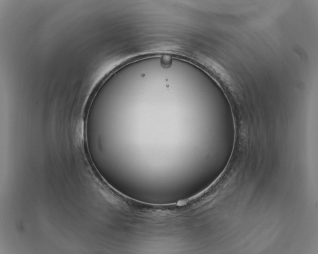 X0000112081324200908181233
