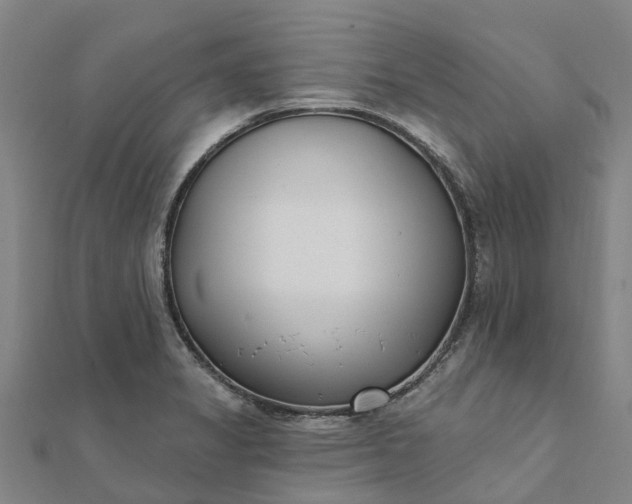 X0000112081325200908181233