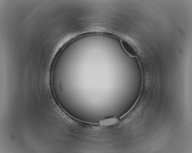 X0000112081326200908181233