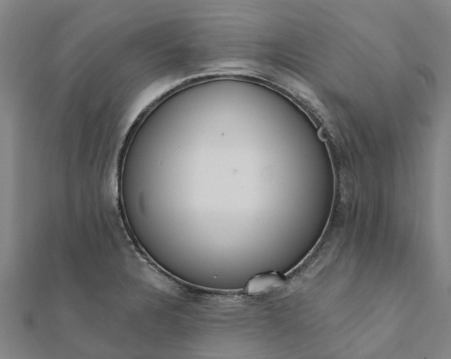 X0000112081328200908181234