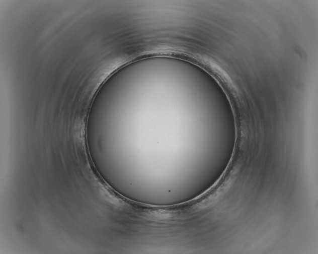 X0000112081329200908181234