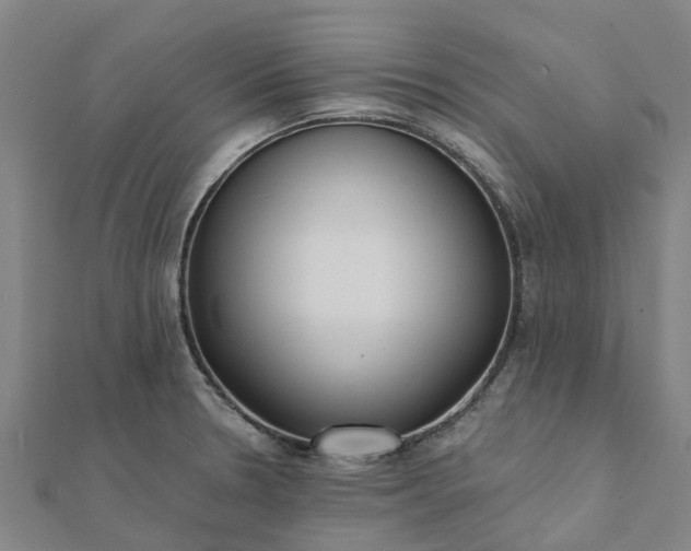 X0000112081330200908181234