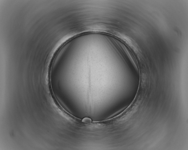 X0000112081331200908181234