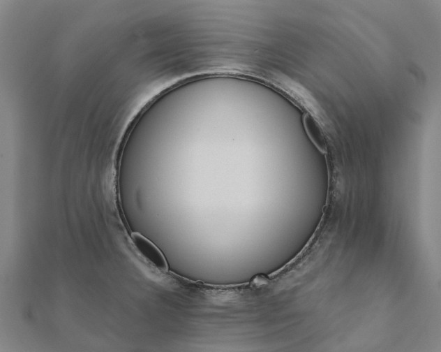 X0000112081332200908181234