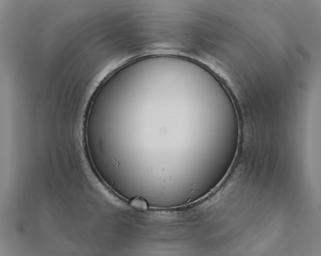 X0000112081333200908181234