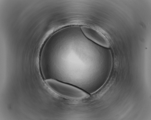 X0000112081334200908181234