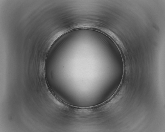 X0000112081337200908181234