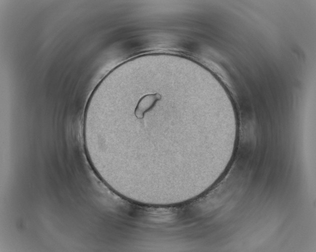 X0000112081338200908181234