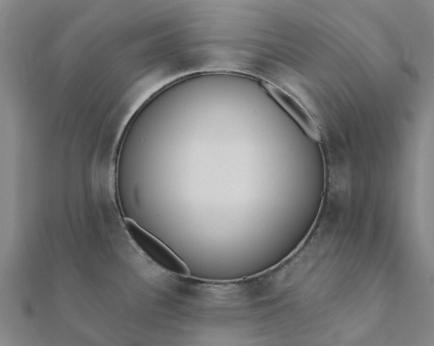 X0000112081340200908181234