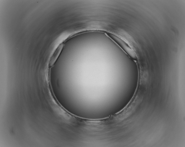 X0000112081342200908181234