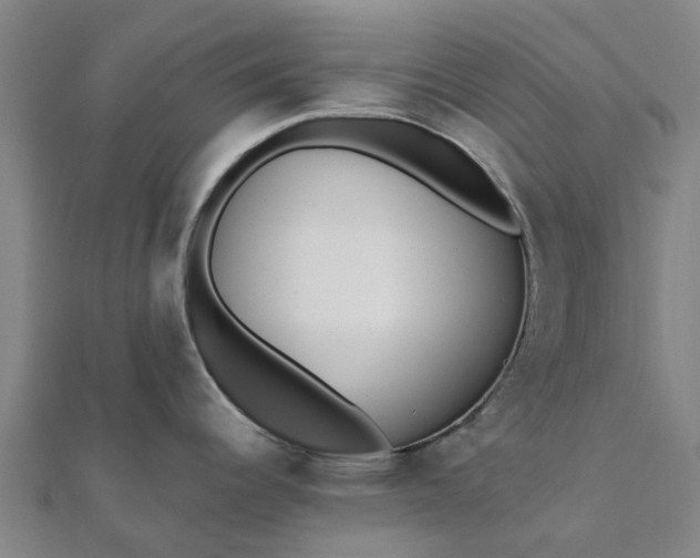 X0000112081344200908181234