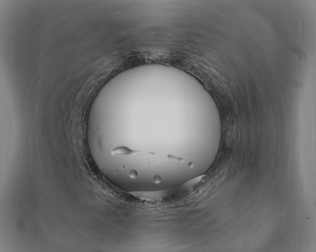X0000112081345200908181233