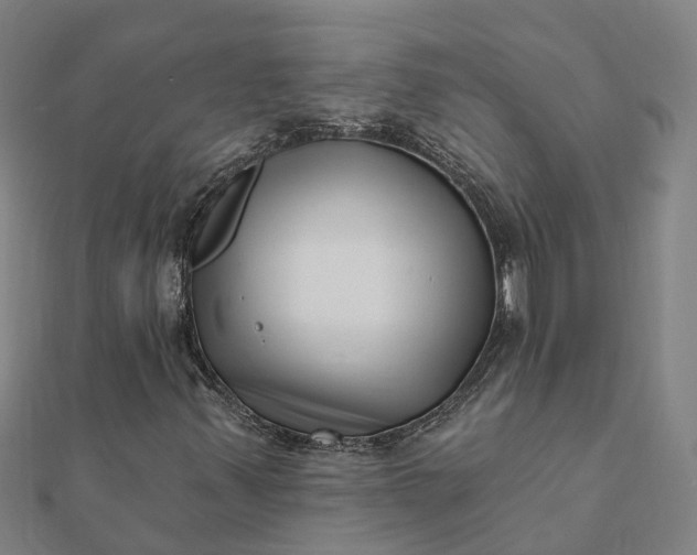 X0000112081347200908181233