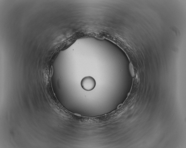 X0000112081348200908181233
