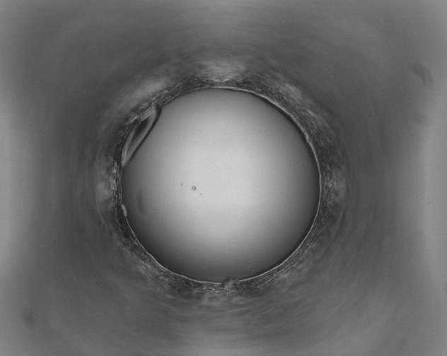 X0000112081349200908181233