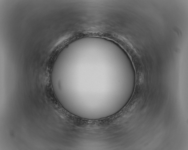 X0000112081350200908181233