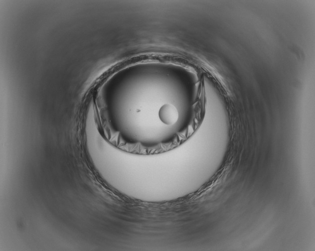 X0000112081352200908181233