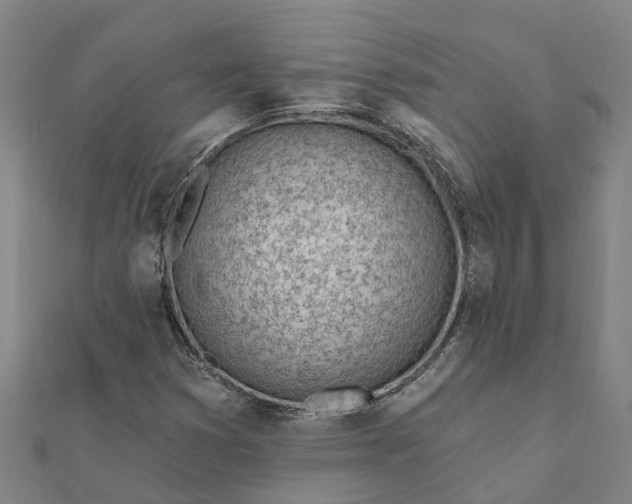 X0000112081353200908181233