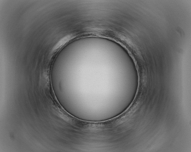 X0000112081354200908181233