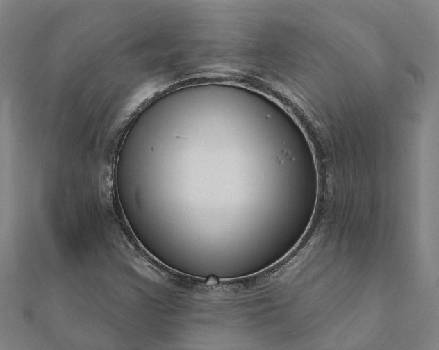 X0000112081355200908181233