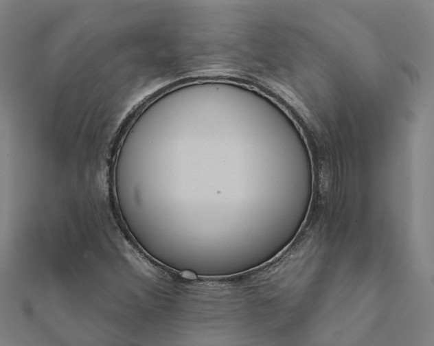 X0000112081356200908181233