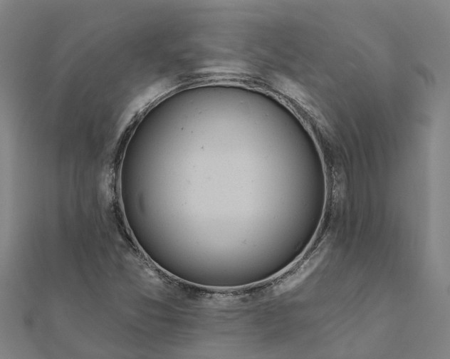 X0000112081357200908181233