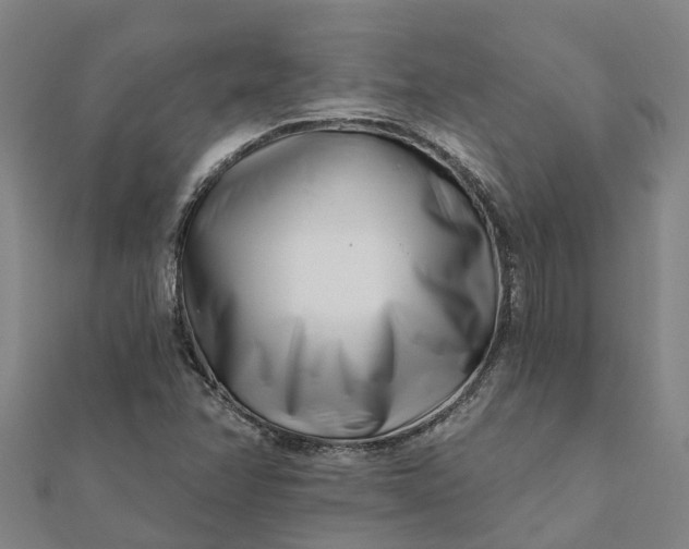 X0000112081358200908181233