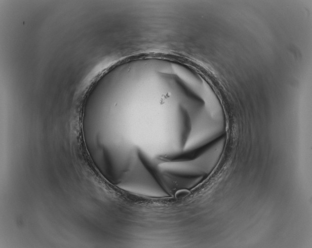 X0000112081359200908181233