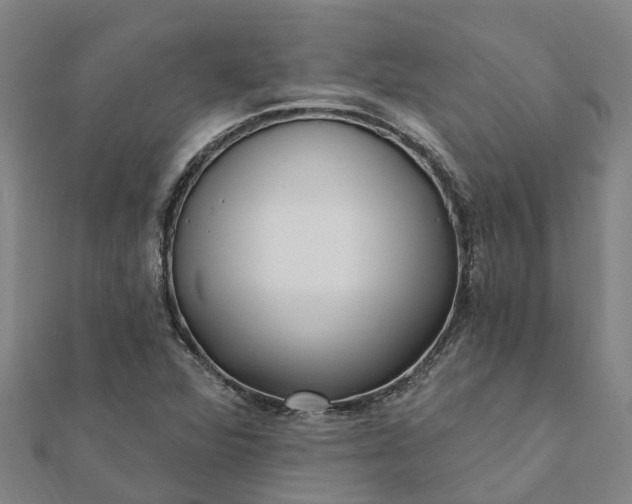 X0000112081360200908181233