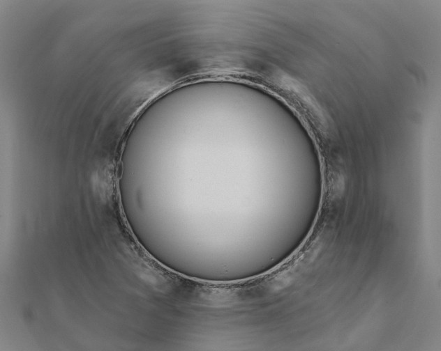 X0000112081361200908181233
