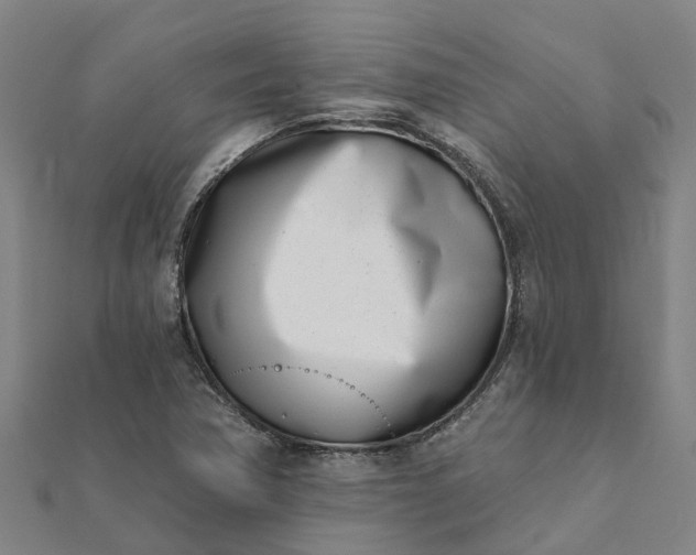 X0000112081362200908181233