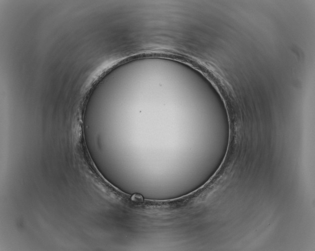 X0000112081363200908181233