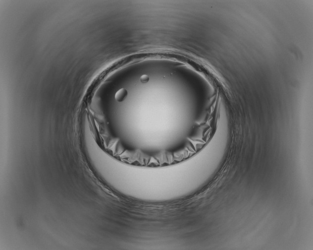 X0000112081364200908181233