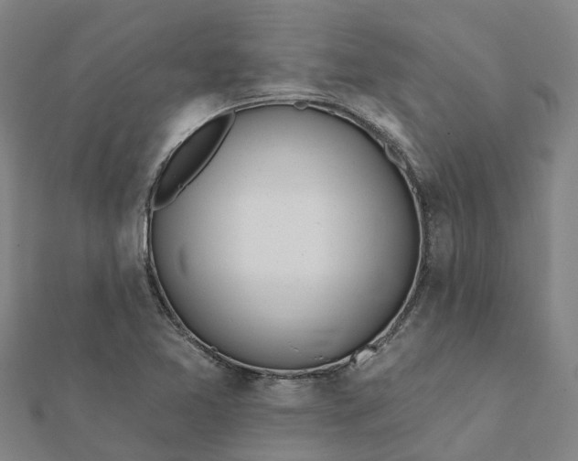 X0000112081365200908181233