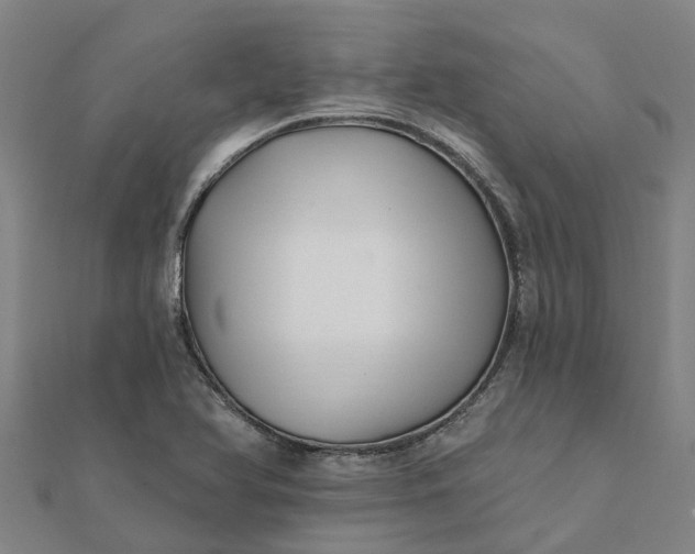 X0000112081366200908181233