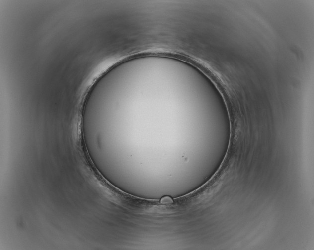 X0000112081367200908181233
