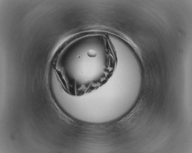 X0000112081368200908181233