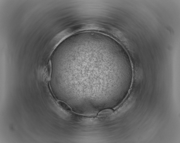 X0000112081369200908181233