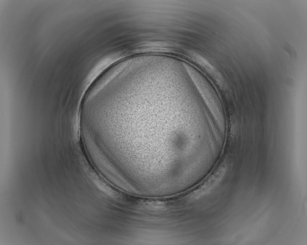 X0000112081370200908181233