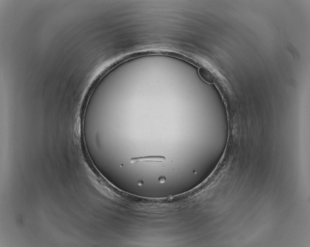 X0000112081372200908181233