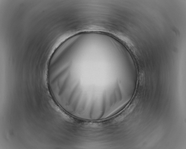 X0000112081374200908181233