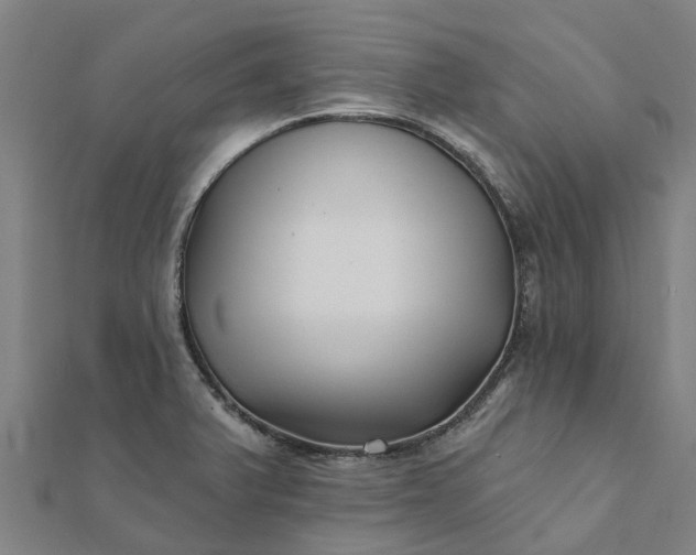 X0000112081375200908181233