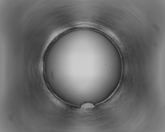 X0000112081376200908181233