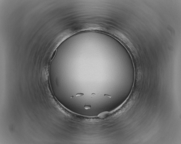 X0000112081377200908181233