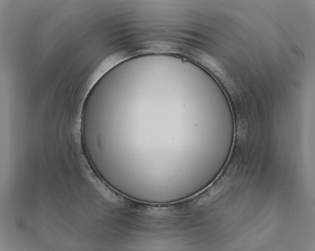 X0000112081378200908181233