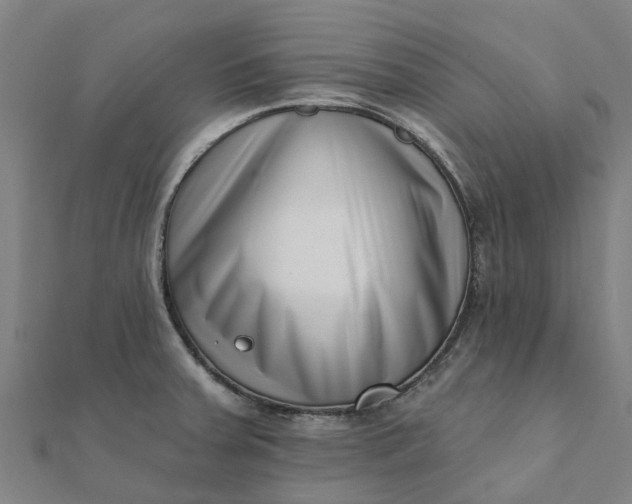 X0000112081379200908181232